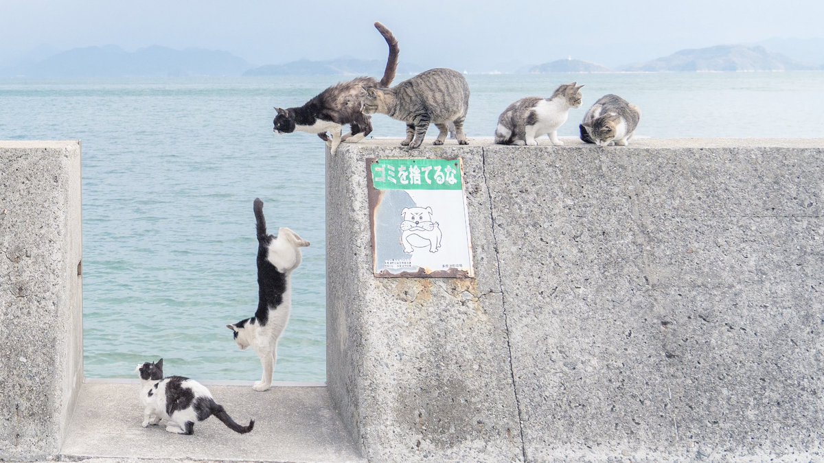 情報量が多すぎるのよ。 