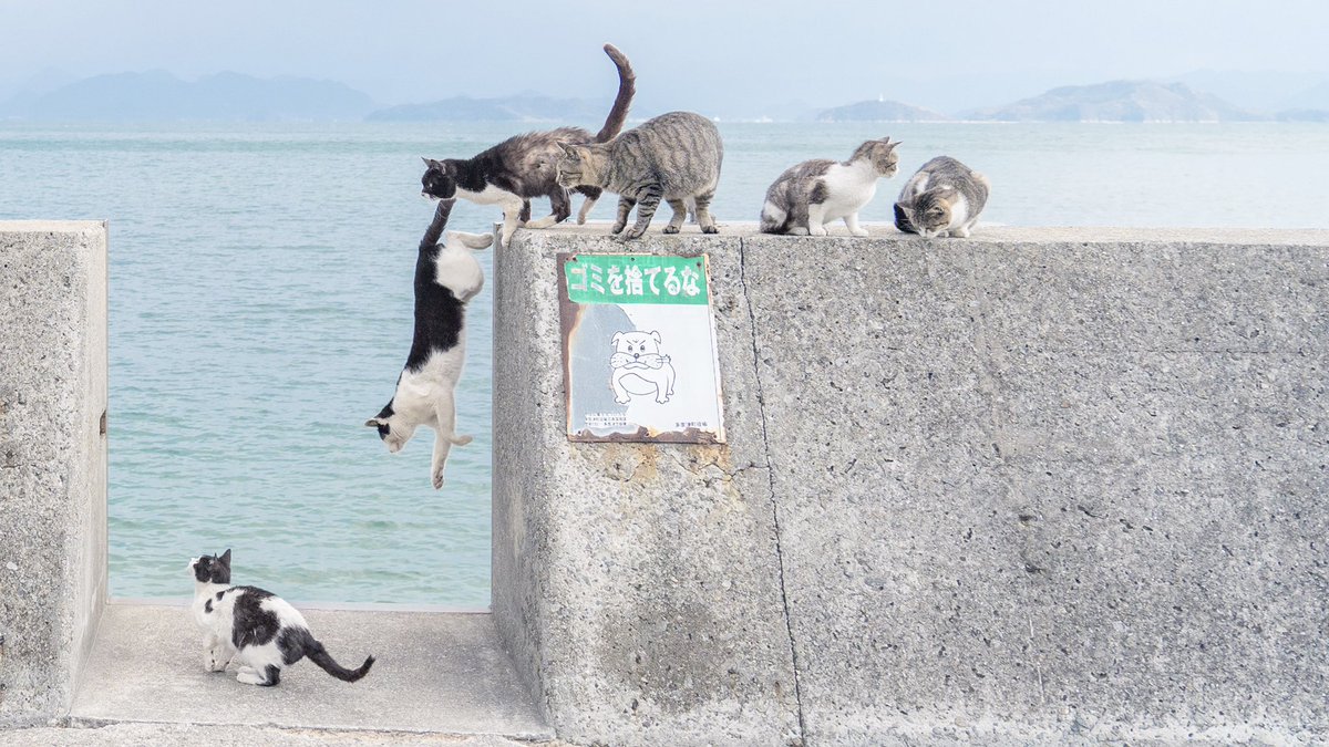 情報量が多すぎるのよ。 