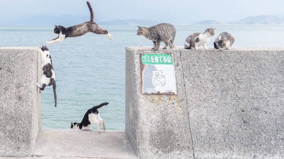 情報量が多すぎるのよ。 