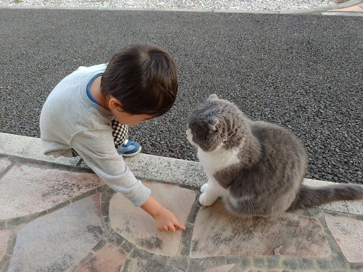 飼い猫に保育園までの道のりを仕込んで迎えに来てもらおうと画策をする息子 #育児衝撃画像 