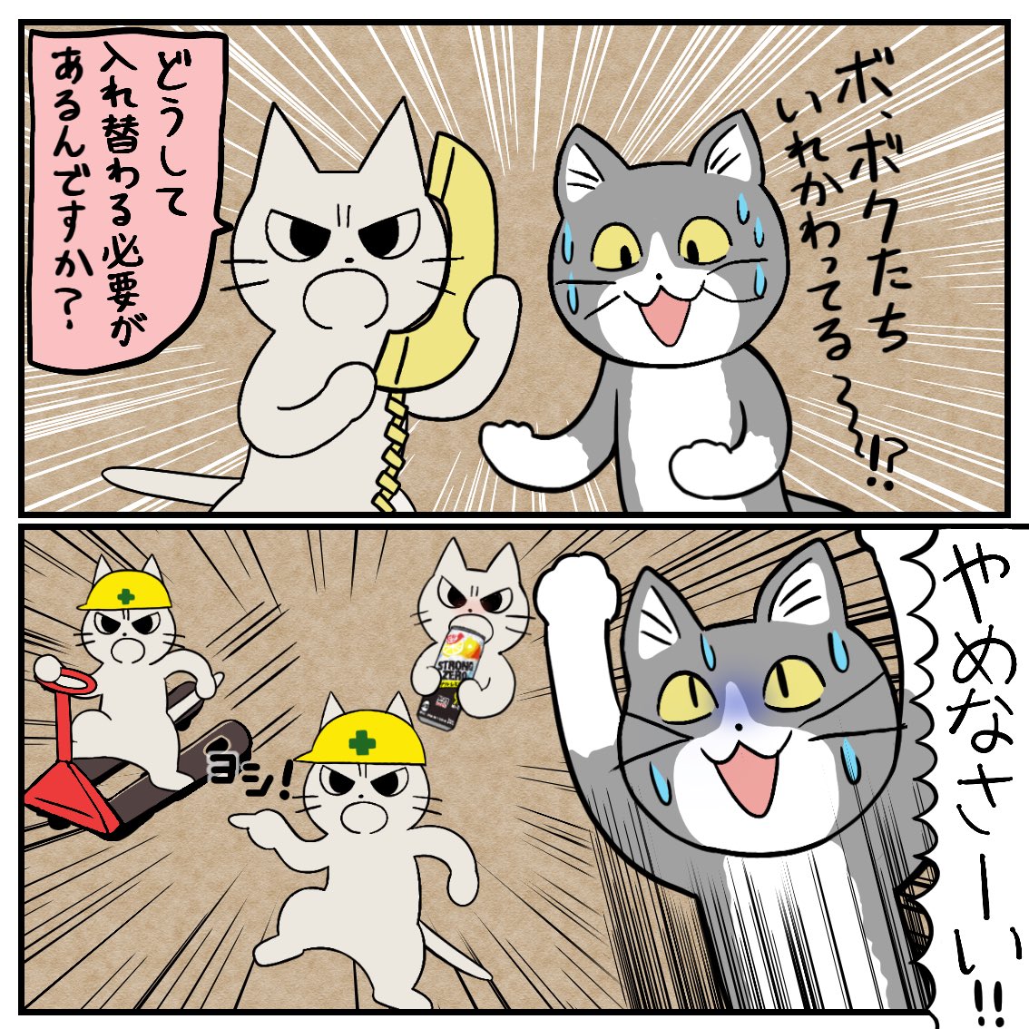 入れ替わった猫 