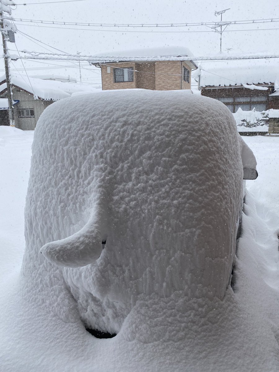 今の私の車🚗です。後ろのワイパーが尻尾になっています。 
