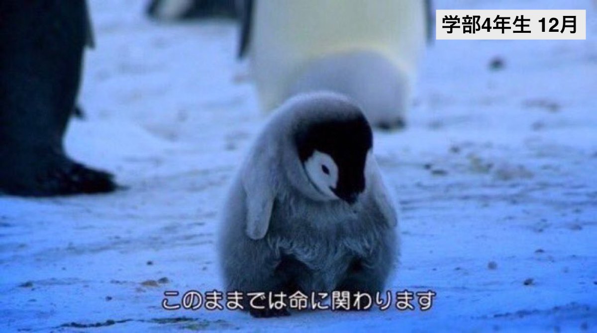 ←院試出願時 →修士入学3ヶ月後 