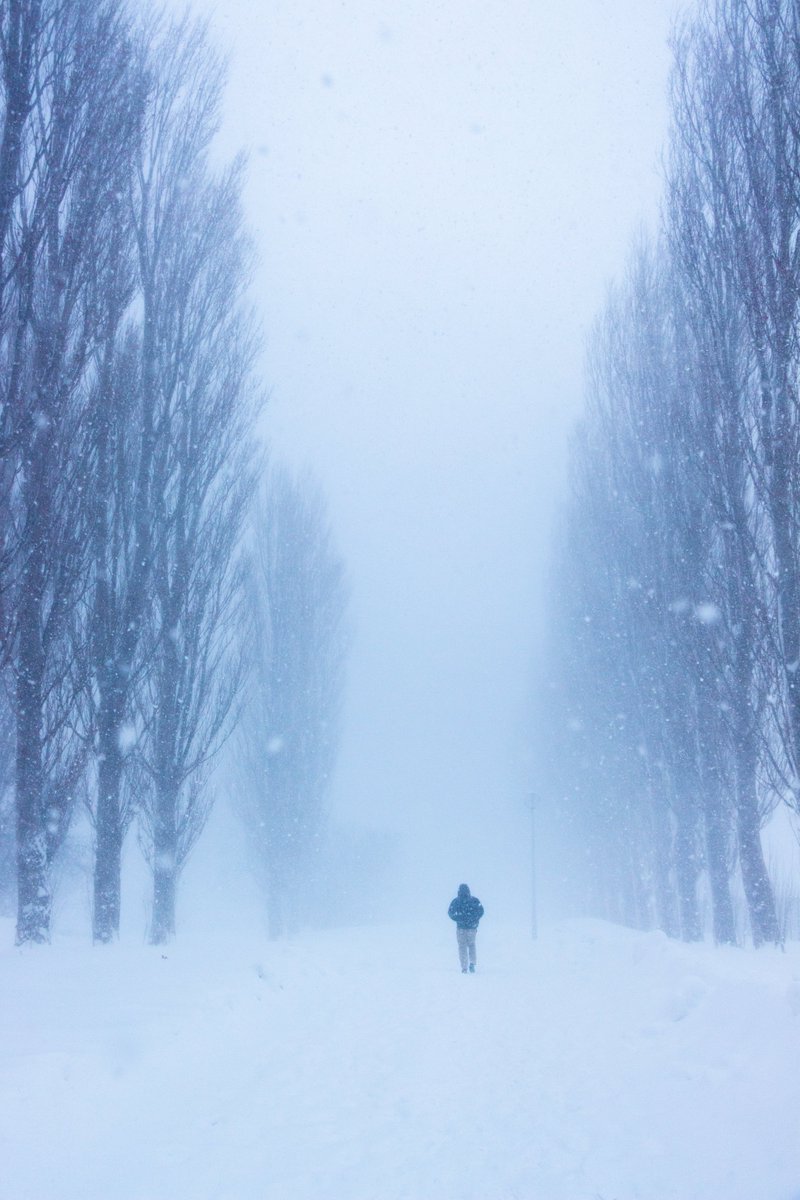 北大に通うとはこういうこと。
