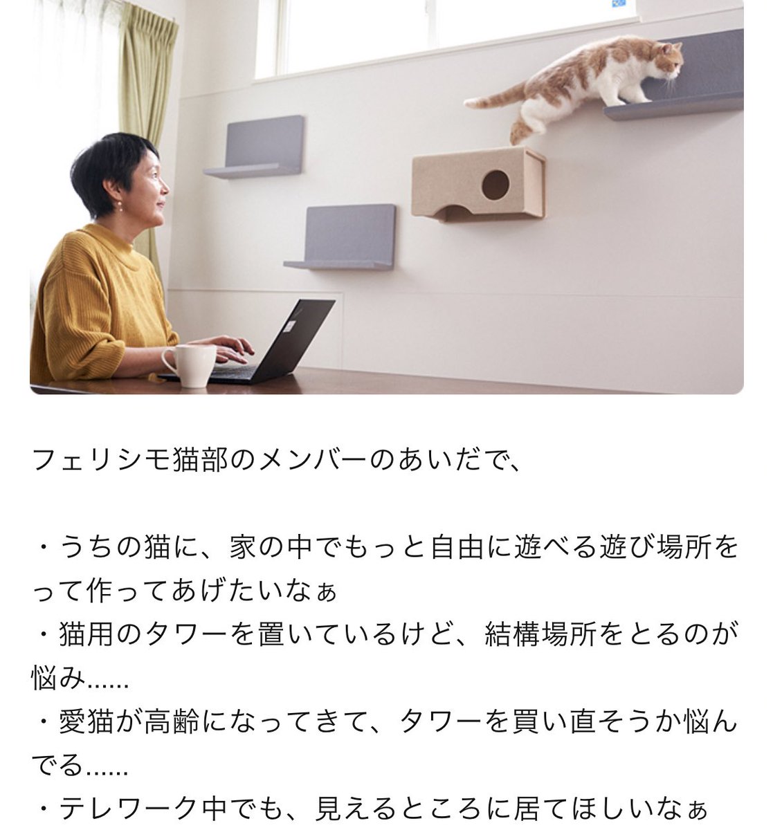 へえ、マグネット式で取り付けられるキャットウォールアイテムかあ、便利そうだなあと思いながらスクロールしたらクラウドファンディングパワーが尋常じゃなく集まってて笑った  