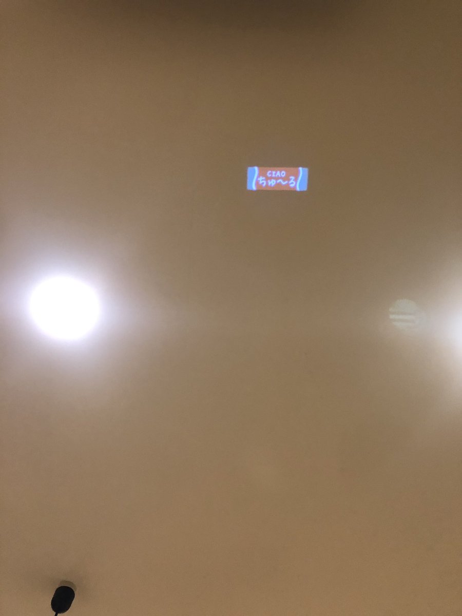 ちゅーるについてたレーザーポインター 