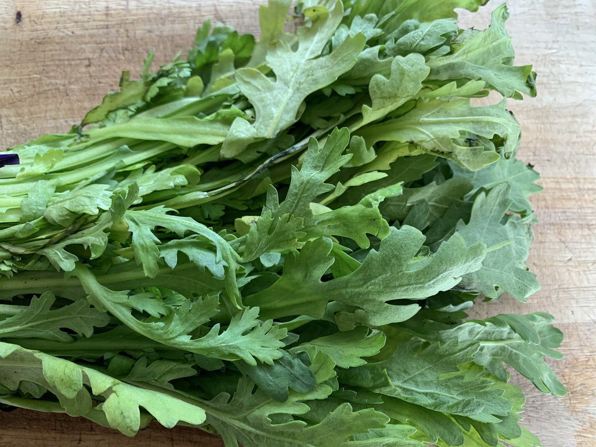 春はまぶたがピクピク痙攣する方が非常に多くなります