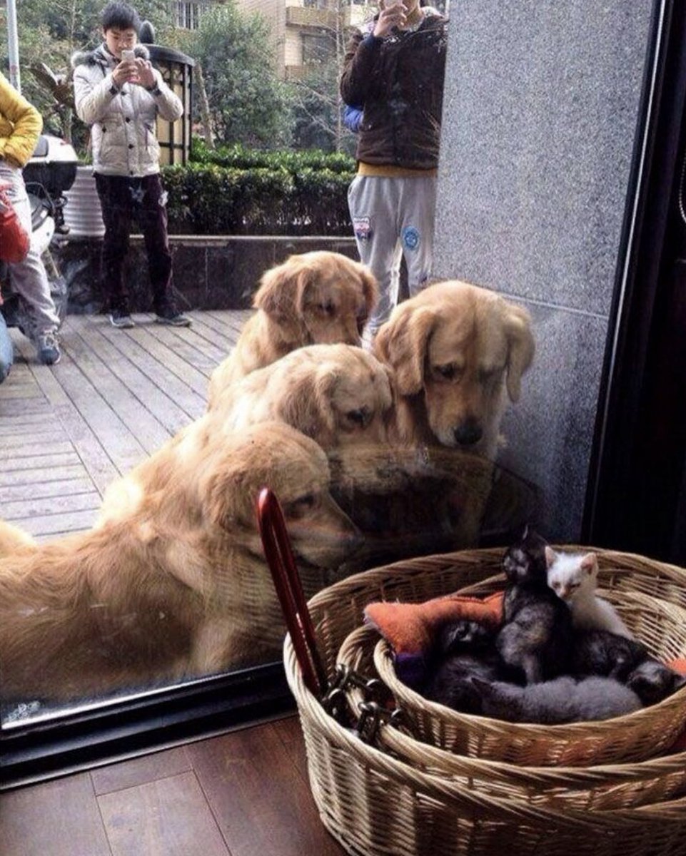 めちゃくちゃ癒された 