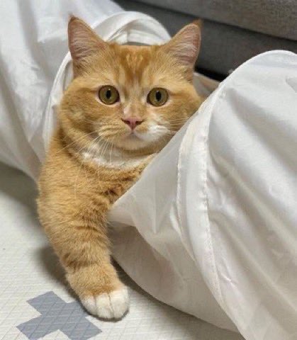 え？僕？やってないですよ............ 