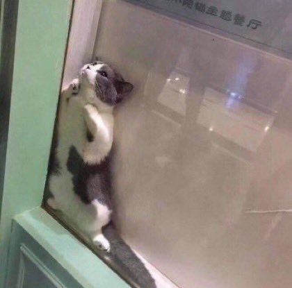 脱走しようと試みたが......... 