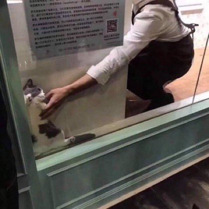 脱走しようと試みたが......... 