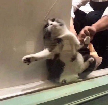 脱走しようと試みたが......... 