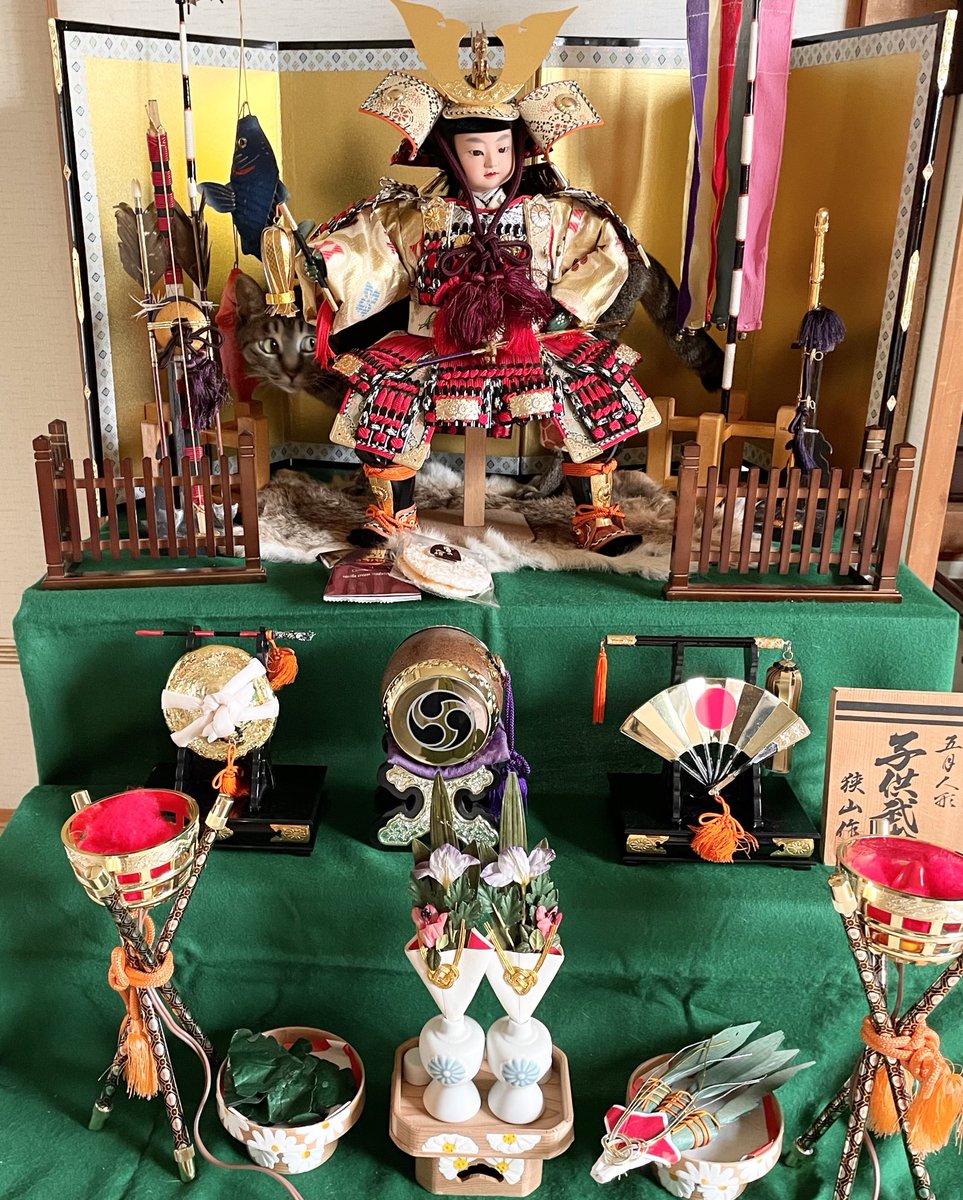 乗っちゃいけない場所にいることを自覚している猫の顔です。 