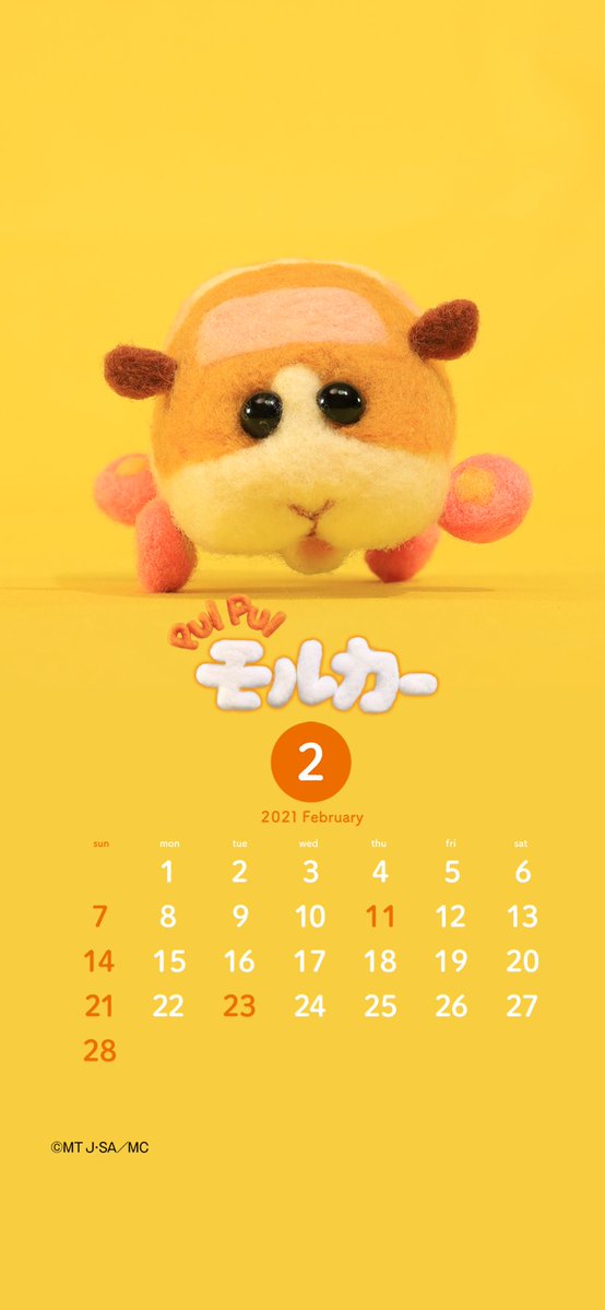   #モルカー  #毎週火曜あさ7時30分 テレビ東京系「きんだーてれび」にて  