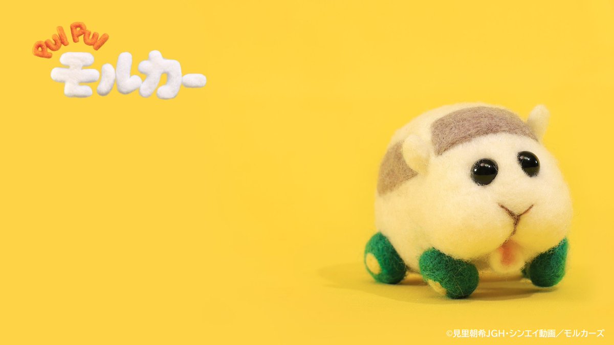   #毎週火曜あさ7時30分 テレビ東京系「きんだーてれび」にて  