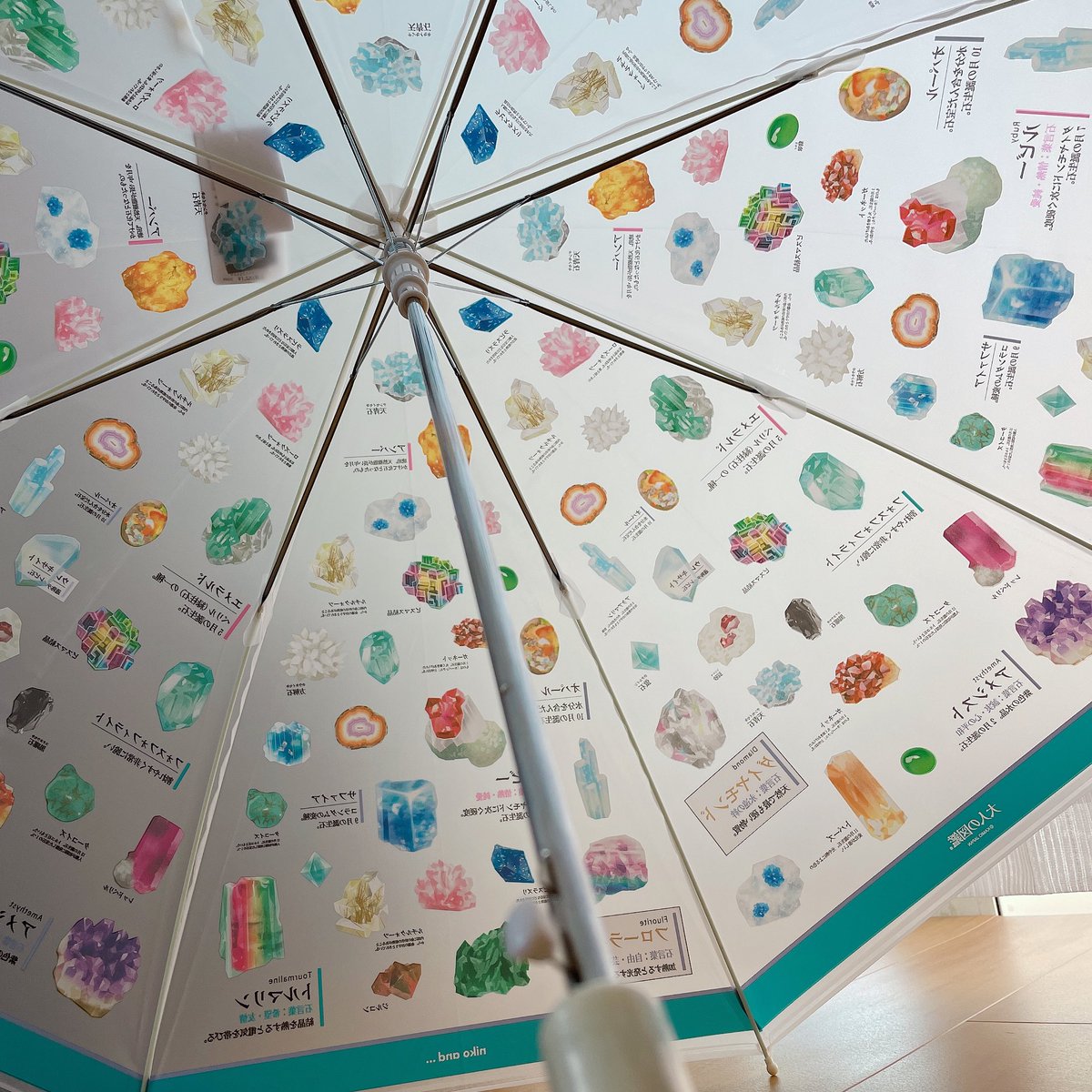 昨日買った傘を見てください☂️ 