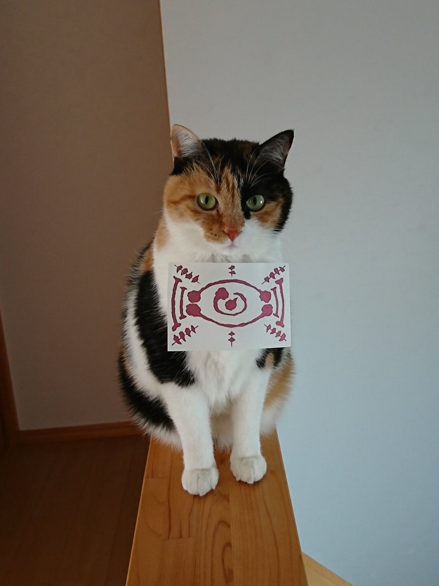 そうか…キミだったのか… たまに消えて姿が見えなくなるもんな… 