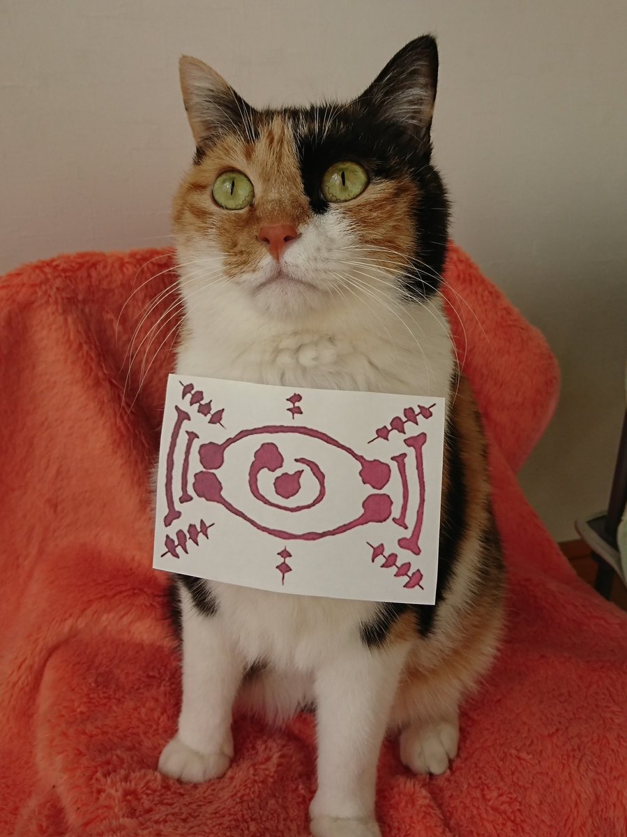 そうか…キミだったのか… たまに消えて姿が見えなくなるもんな… 