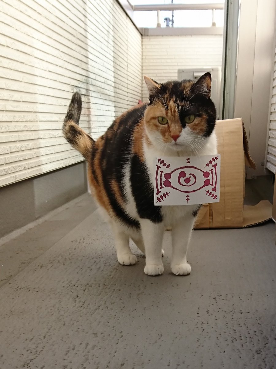 そうか…キミだったのか… たまに消えて姿が見えなくなるもんな… 