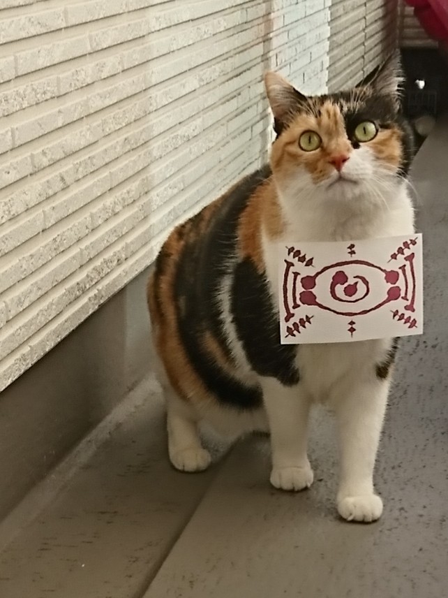 そうか…キミだったのか… たまに消えて姿が見えなくなるもんな… 