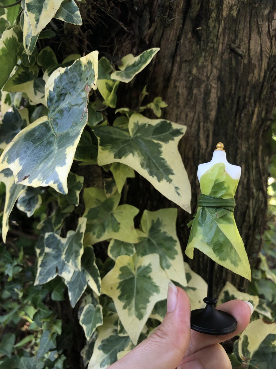 これは庭の花で作った妖精のドレス 