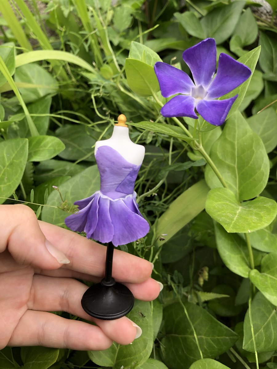これは庭の花で作った妖精のドレス 