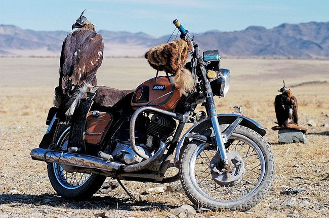 モンゴルの鷹匠だろうか。とてもエモい 