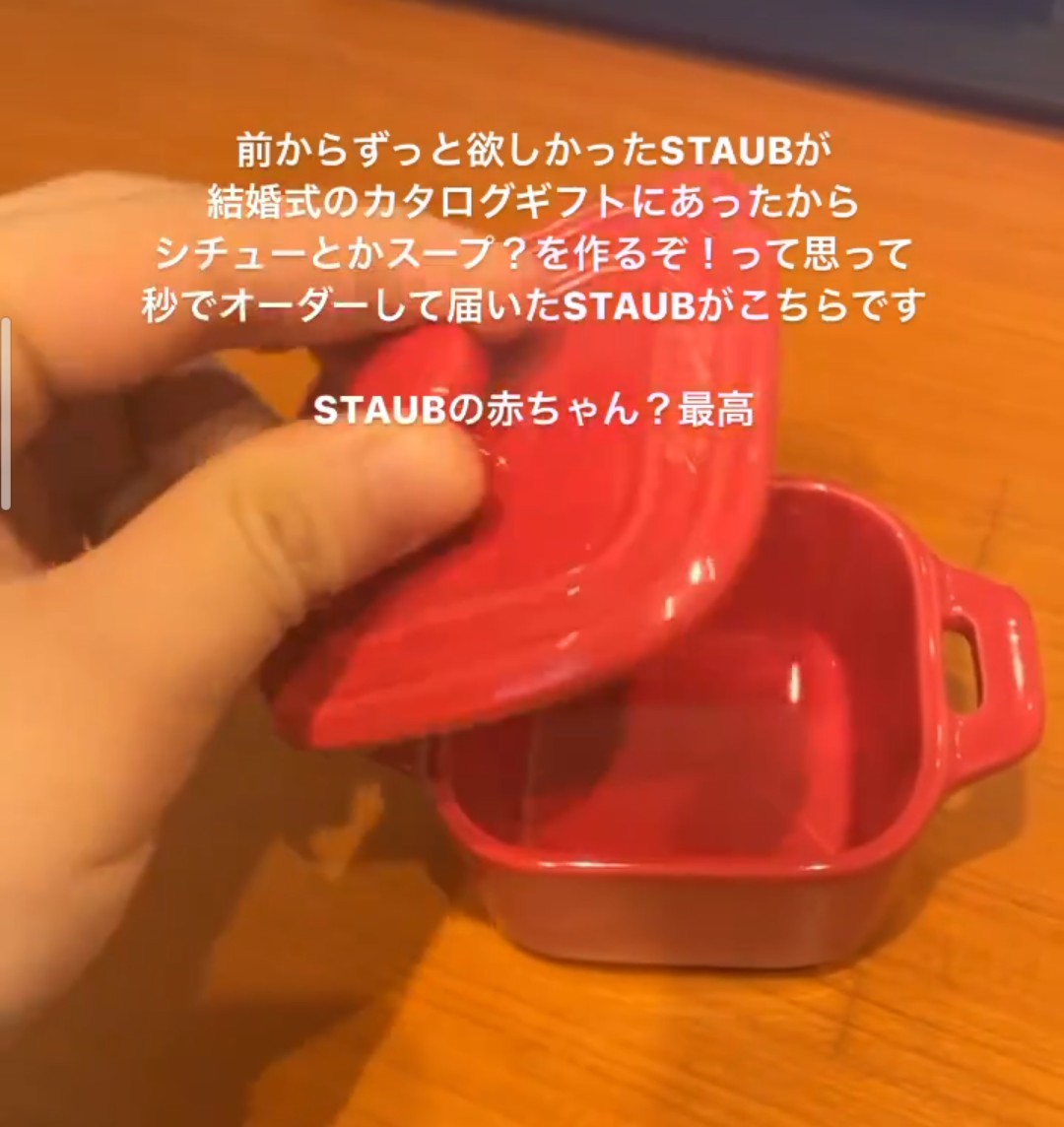 友達がストウブの鍋と勘違いしてお皿をオーダーしちゃって、最初は冷たく接してたのに段々と愛情が湧いてきてるの、ハートウォーミングすぎる 