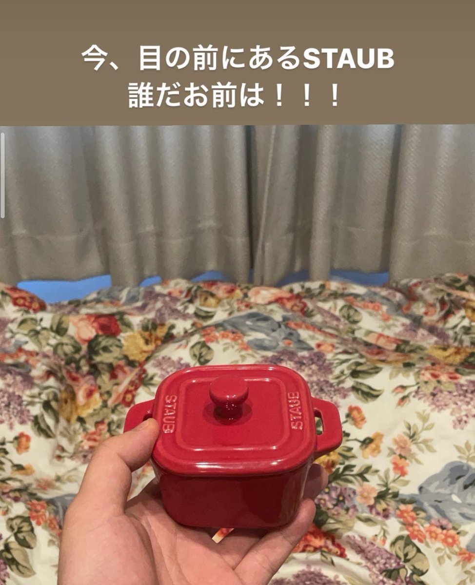 友達がストウブの鍋と勘違いしてお皿をオーダーしちゃって、最初は冷たく接してたのに段々と愛情が湧いてきてるの、ハートウォーミングすぎる 