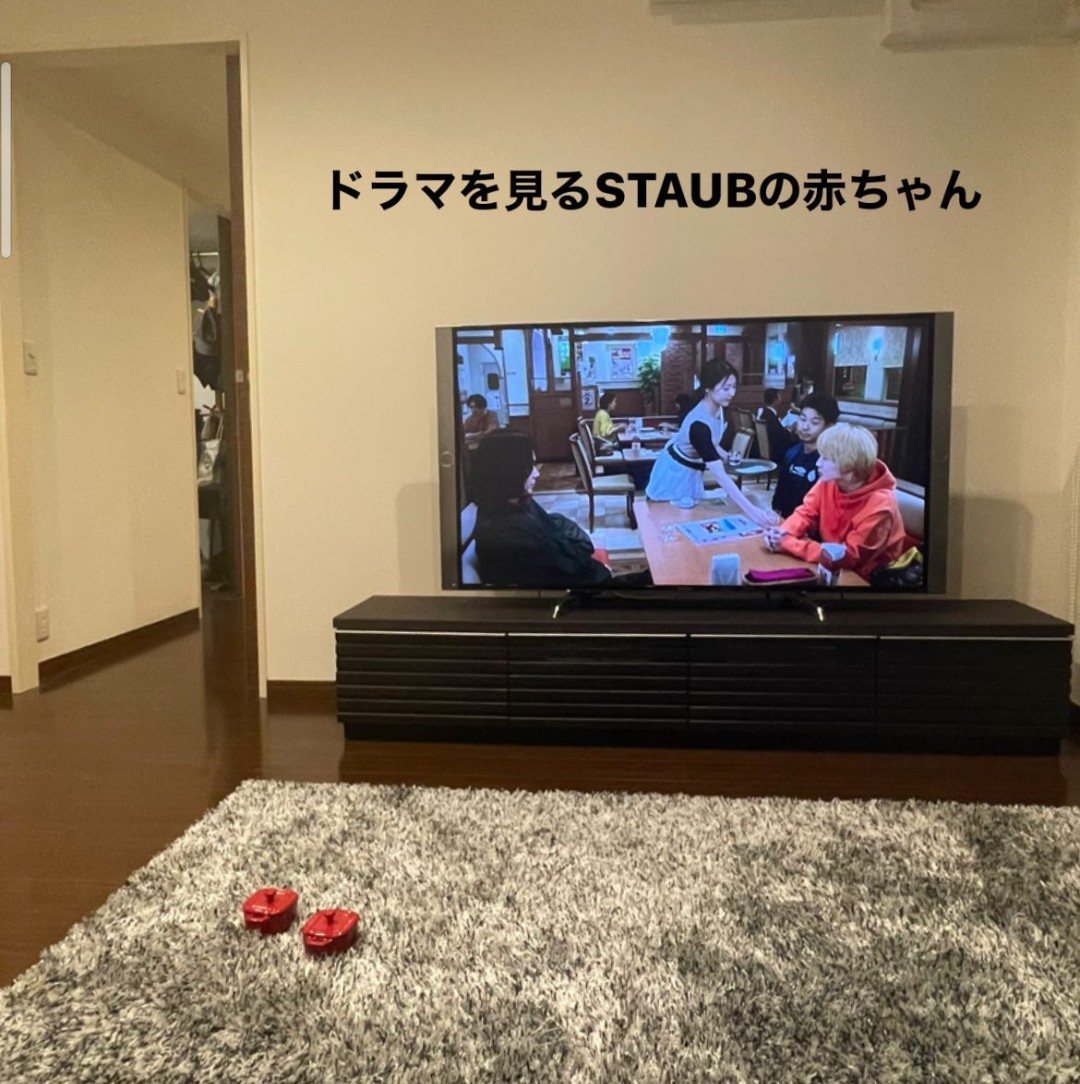 友達がストウブの鍋と勘違いしてお皿をオーダーしちゃって、最初は冷たく接してたのに段々と愛情が湧いてきてるの、ハートウォーミングすぎる 