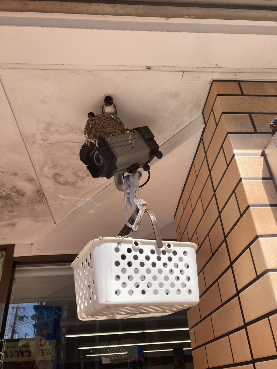 予想以上の働きを強いられる防犯カメラ