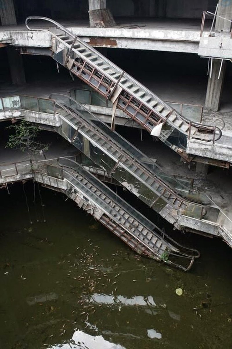 バンコクのショッピングモール跡らしいんですけど、閉鎖された後に屋根が抜けて水浸しに…で、蚊の繁殖地になっちゃったんで近くの人達が魚投入して、ボウフラとか食わせようとして…こうなったらしいです