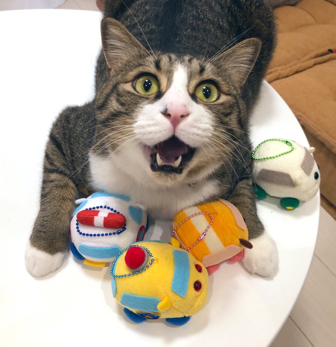 モルカーはぜんぶオレのもの！ 