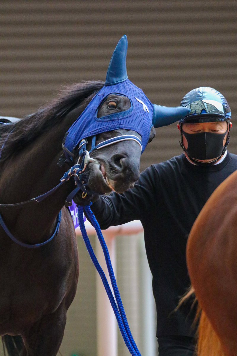 阪神JFの時のユーバーレーベンの写真色々探してみたけど、やっぱりゴルシ産駒だなってなった 