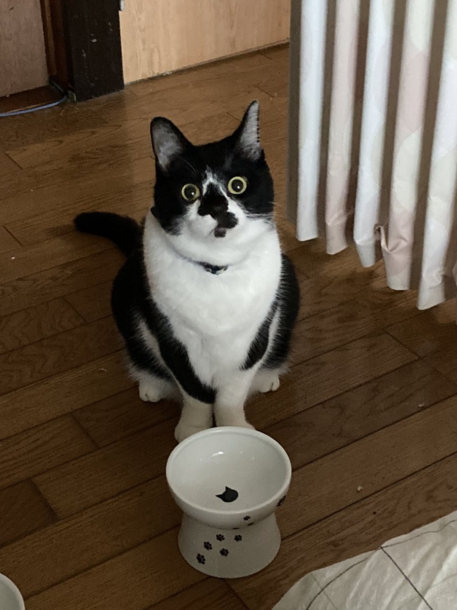 食べた直後に記憶喪失すな 