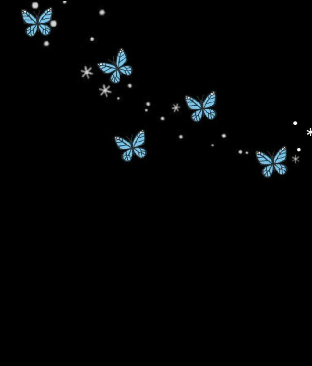 ･ ｡🦋     ∴｡　 　･ﾟ🦋.  　　･ *ﾟ 　 ･ ﾟ*      ･｡ 🦋    🦋･｡             *.｡             ｡･               °*. 🦋｡                       °*.                       ﾟ*.                  ｡｡ ･              ｡ 🦋･ﾟ        ｡°*.    ｡*🦋･｡ 