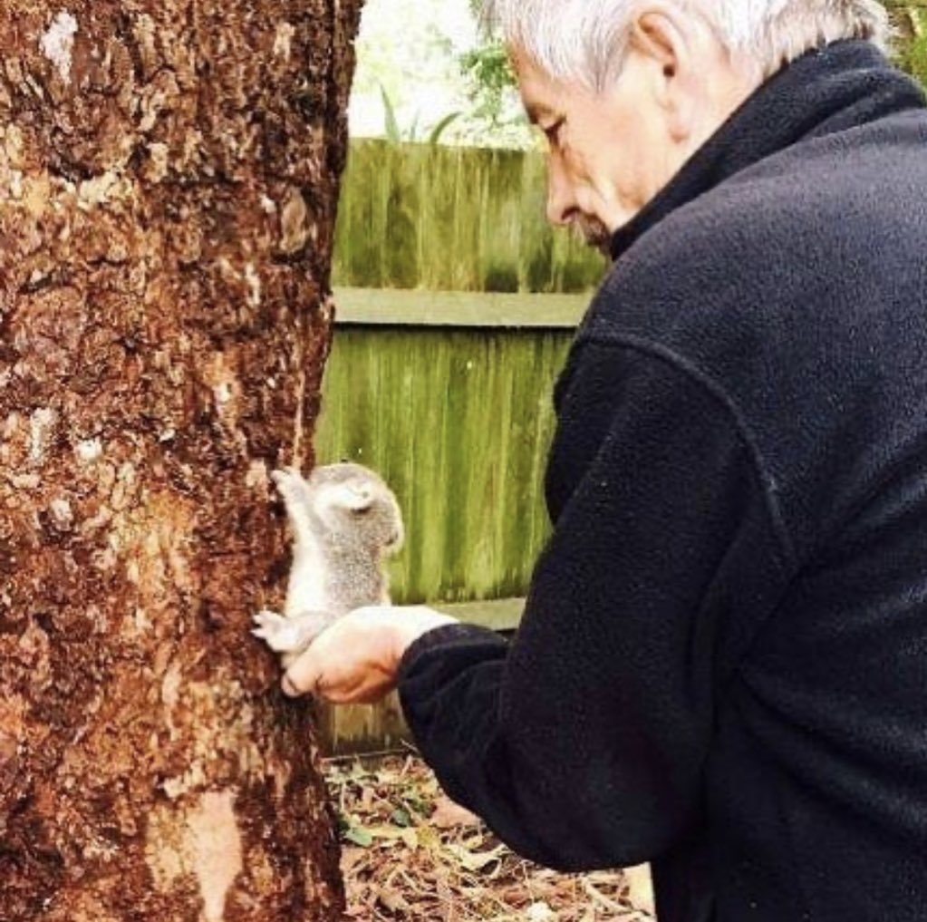この仕事に就きたい 