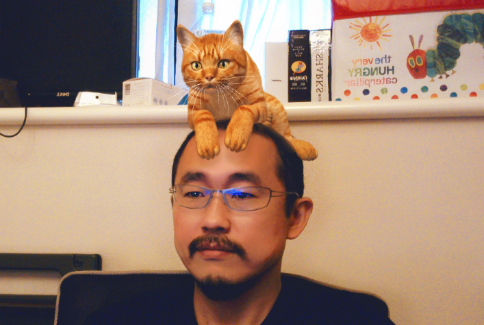 学生さんとの面談、Zoomで顔出しだと学生さんが目線に困ると思って、猫をのっけてやっています