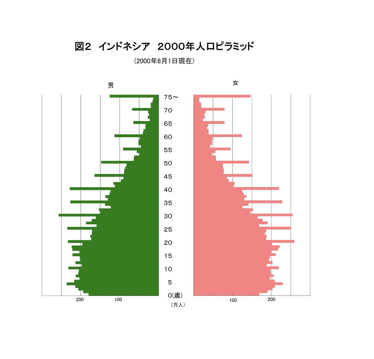 学が無くて自分が何歳か分かんないからキリの良い数字適当に言った人が多過ぎてバグった人口ピラミッドちゃん好き 