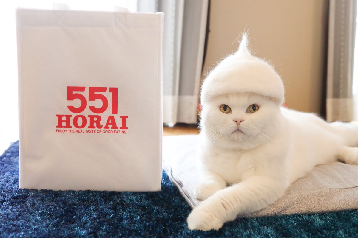 私が通ってる整体のお兄さん、硬派な感じやのに飼ってる猫の話になると溺愛話が止まらないのだけど「最近猫の抜け毛集めてて…」と話し始めて(か、変わってる…)と思ったら猫の抜け毛を再構築して猫帽子なるものを作る文化があるらしい