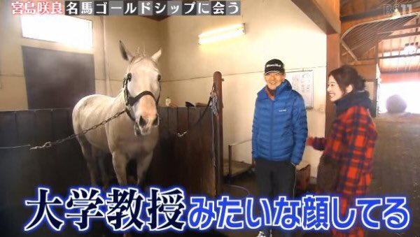 「少し気位の高い人間と思ってないとダメ」の前後初めて見た 