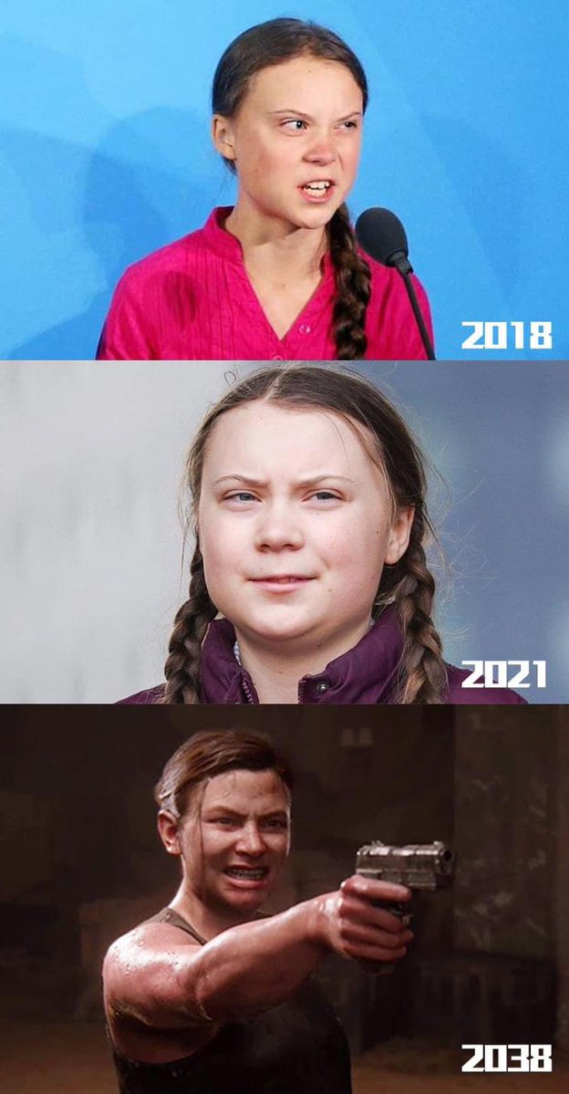 グレタちゃんコロナで順調にセガール化してるな…。 