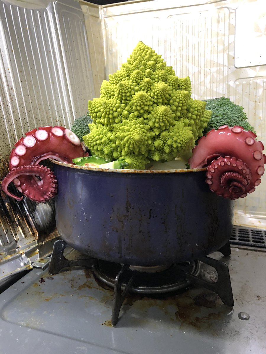 晩ごはん出来たー！クトゥルフ鍋。フラクタル構造の神秘 