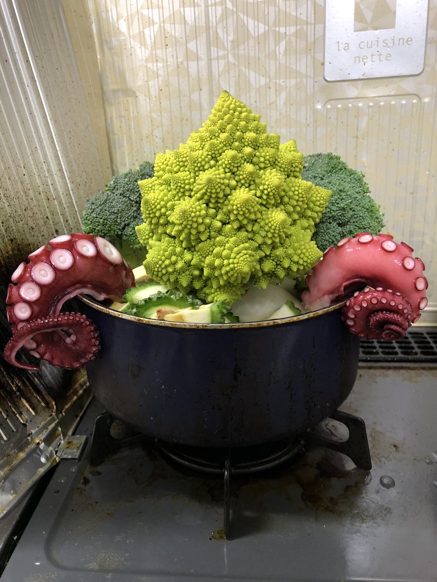 晩ごはん出来たー！クトゥルフ鍋。フラクタル構造の神秘 