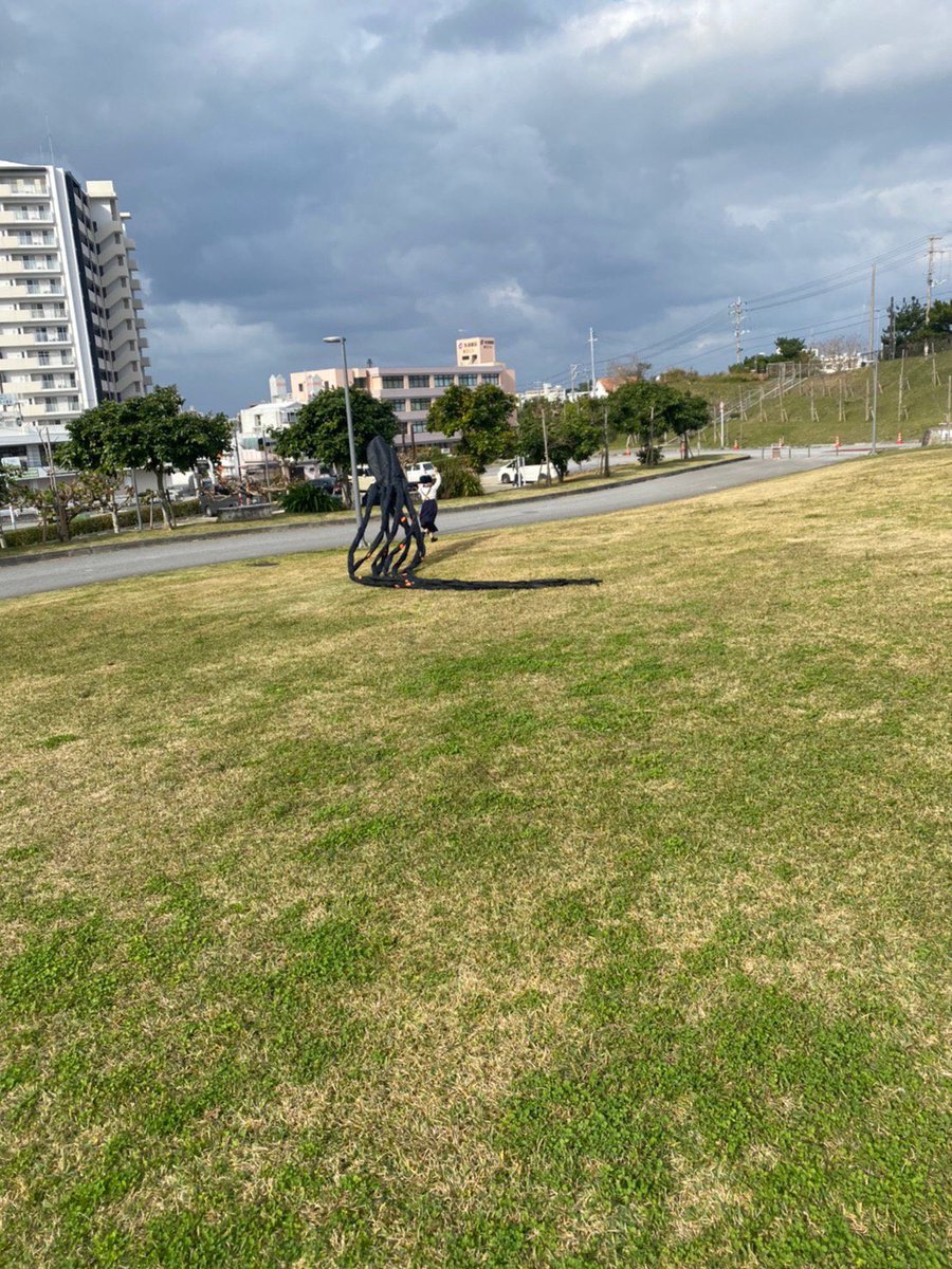 友だちが「タコの凧上げ」をした写真を見せてくれたけど、どう見ても未確認生物に襲われてる瞬間である