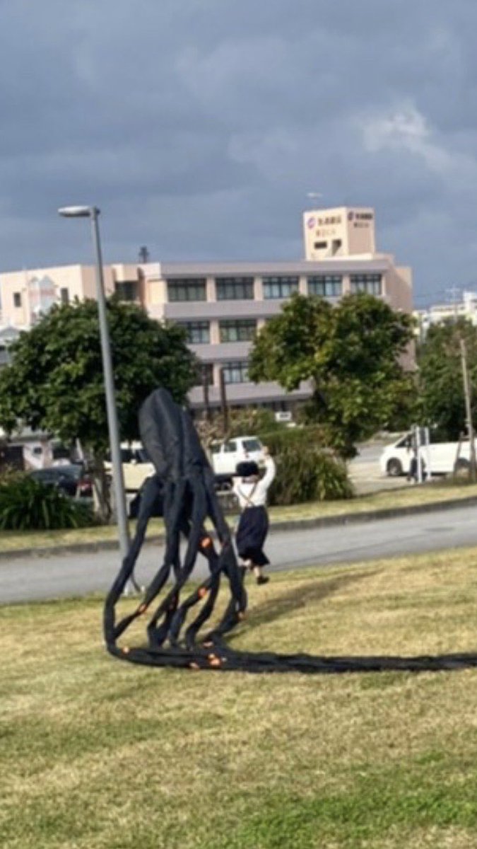 友だちが「タコの凧上げ」をした写真を見せてくれたけど、どう見ても未確認生物に襲われてる瞬間である