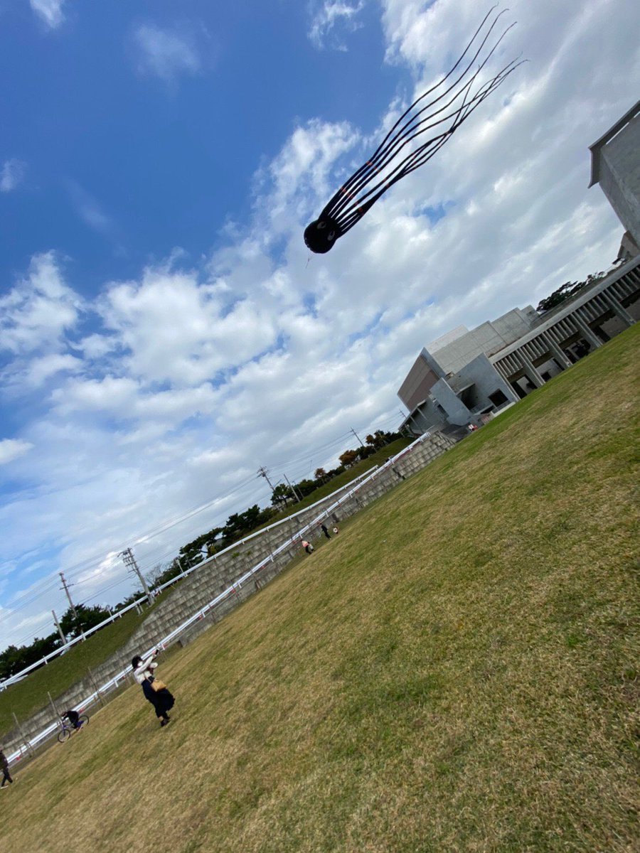 友だちが「タコの凧上げ」をした写真を見せてくれたけど、どう見ても未確認生物に襲われてる瞬間である
