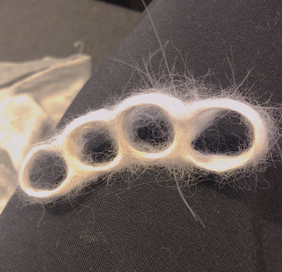 メインクーンちゃん手ぐしヨシヨシしてたらメリケンニャックできた 