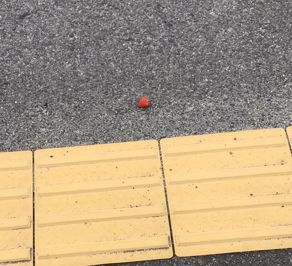 この地球がめちゃくちゃデカいケーキの可能性出てきたな 