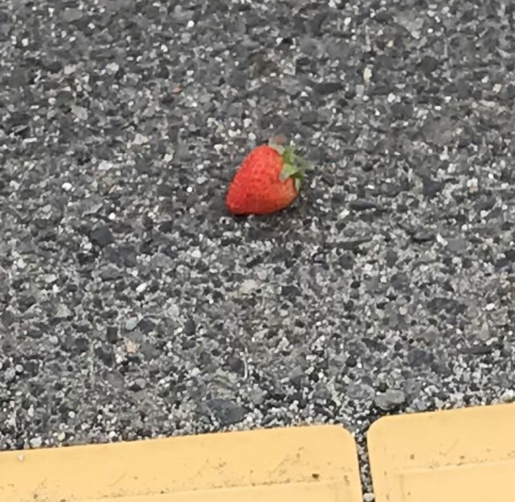 この地球がめちゃくちゃデカいケーキの可能性出てきたな 